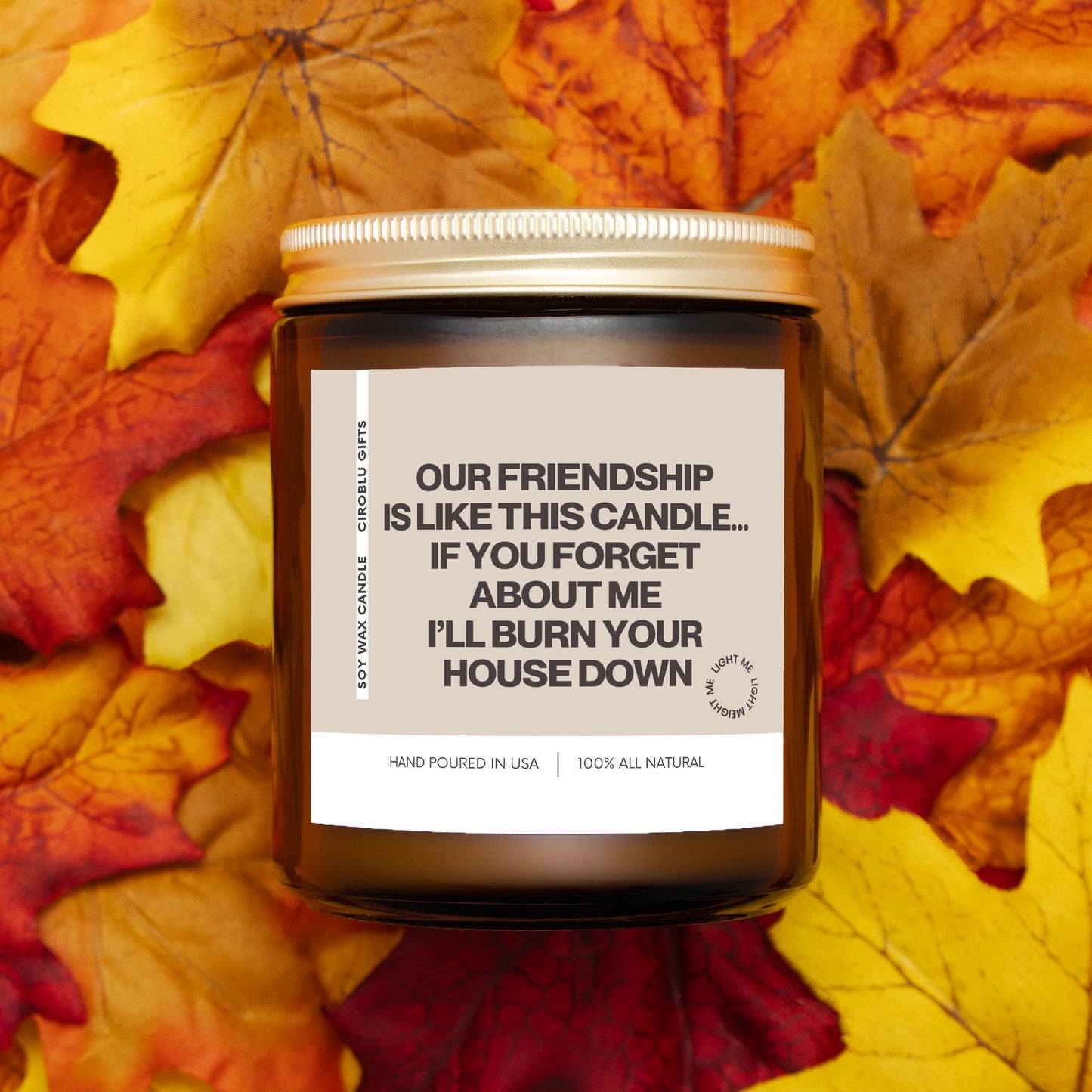 Christmas Gift for Friend! Funny Candle Gift, Friend Birthday Gift, BFF Gift, Gag Gift, Housewarming Gift Our Friendship is Like This Candle