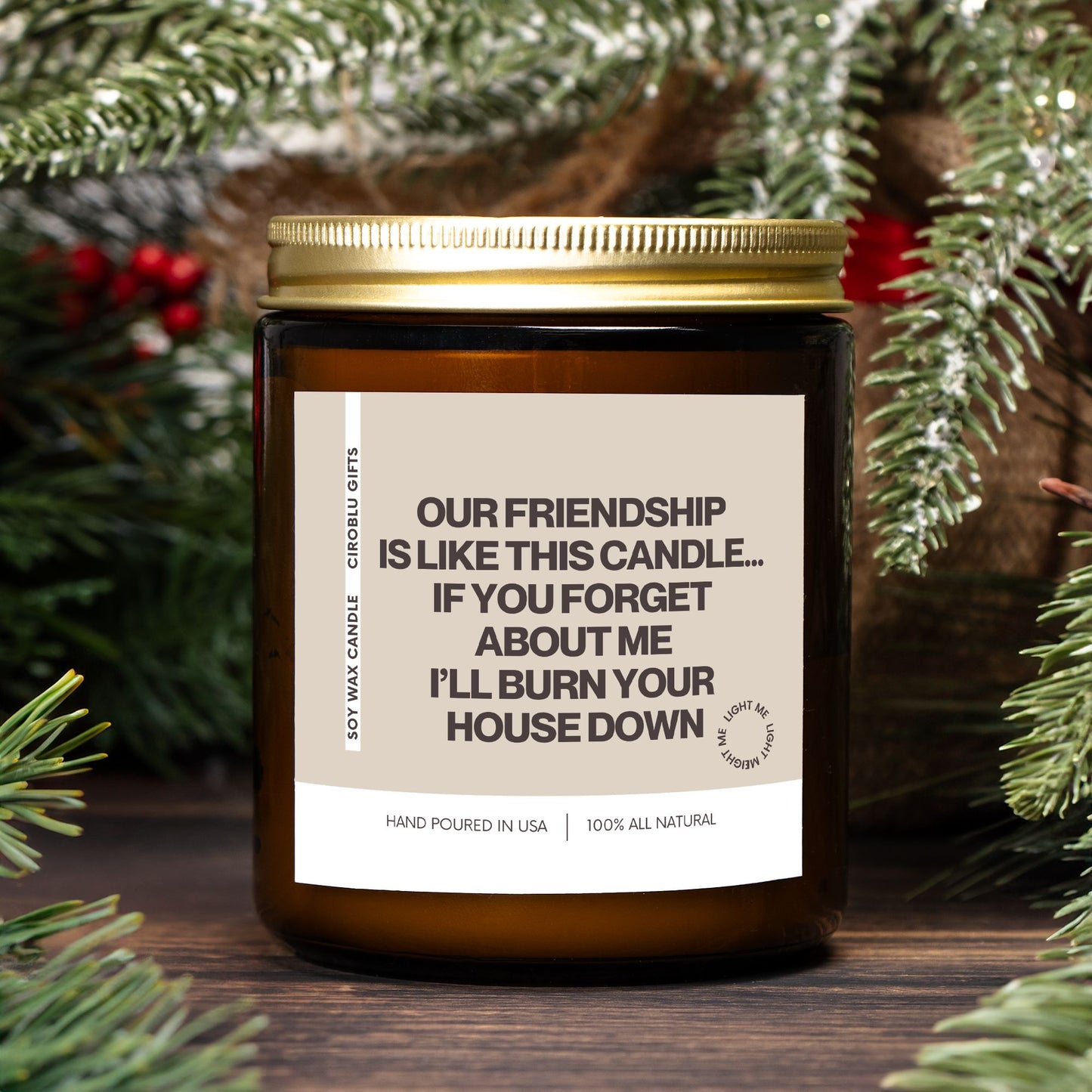 Christmas Gift for Friend! Funny Candle Gift, Friend Birthday Gift, BFF Gift, Gag Gift, Housewarming Gift Our Friendship is Like This Candle