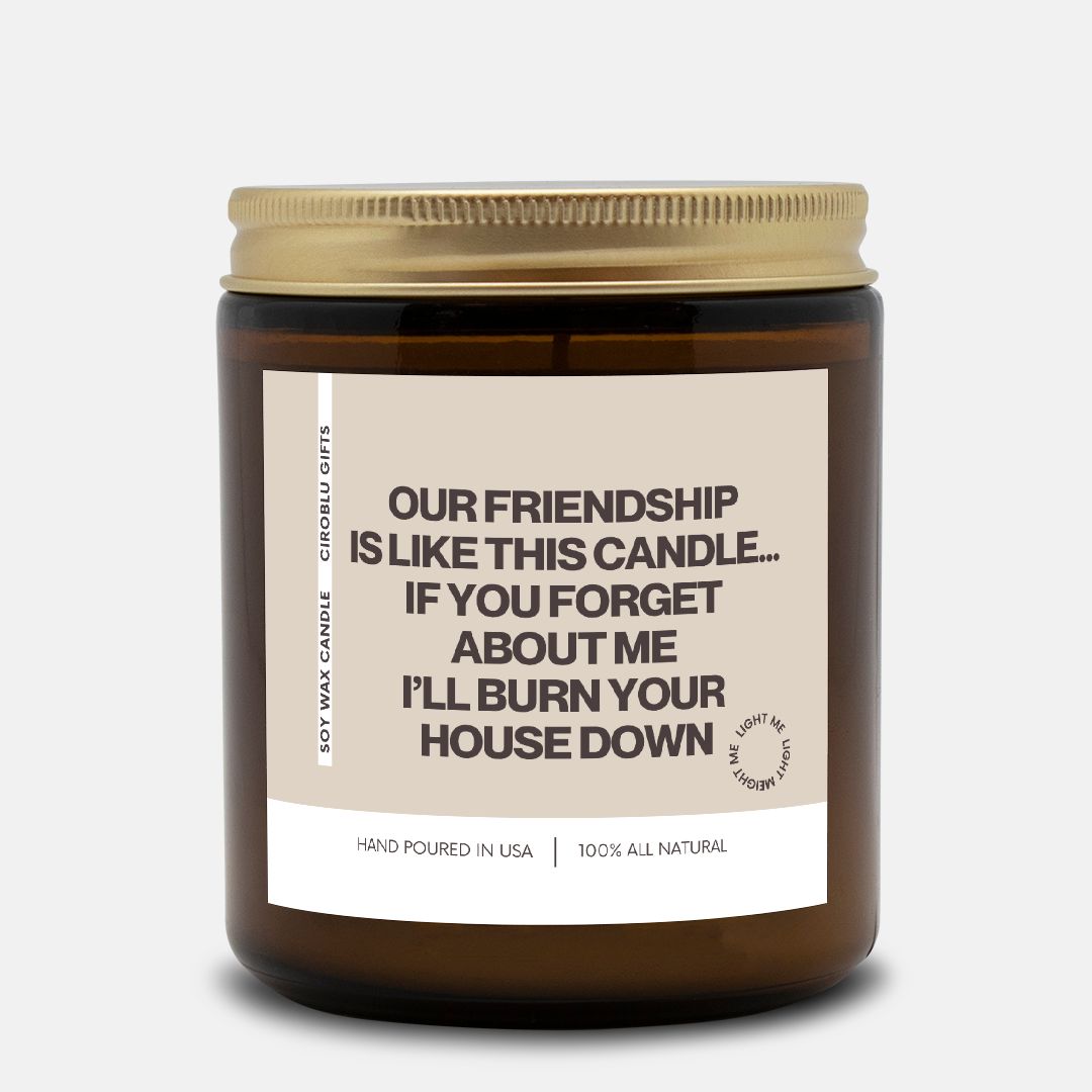 Christmas Gift for Friend! Funny Candle Gift, Friend Birthday Gift, BFF Gift, Gag Gift, Housewarming Gift Our Friendship is Like This Candle