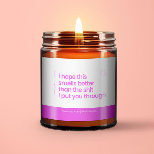 Shit I Put You Through Funny Custom Candle Gift For Mother’s Day, Funny Candle, Gift For Mom, Mother's Day Gift Candle for Dad