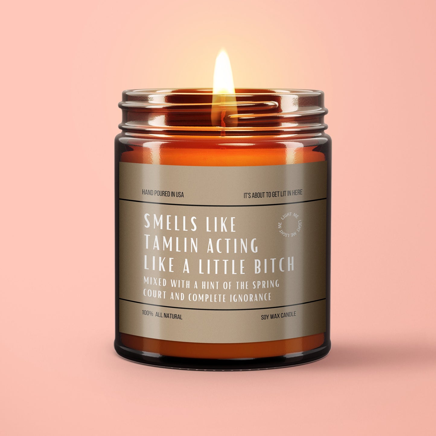 ACOTAR Funny Tamlin Candle Gift Candle Smut Book Tamlin Gifts for Tamlin Book Lovers A Court of Thorns Spring Court Rhys