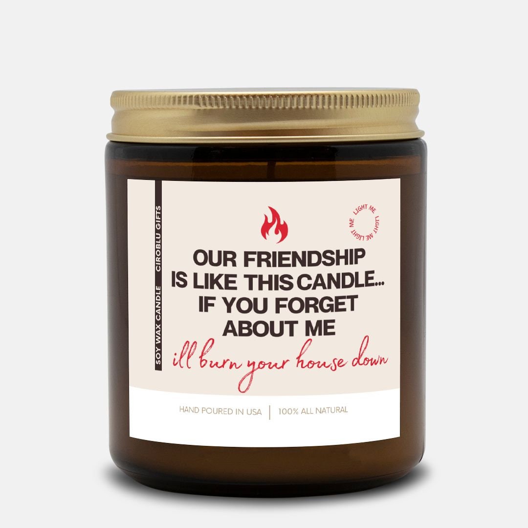 Bestie Friendship Candle Best Friend Gift Friendship Gift Friend Gift Our Friendship is Like This Candle Funny Friend Gift Candle for Friend